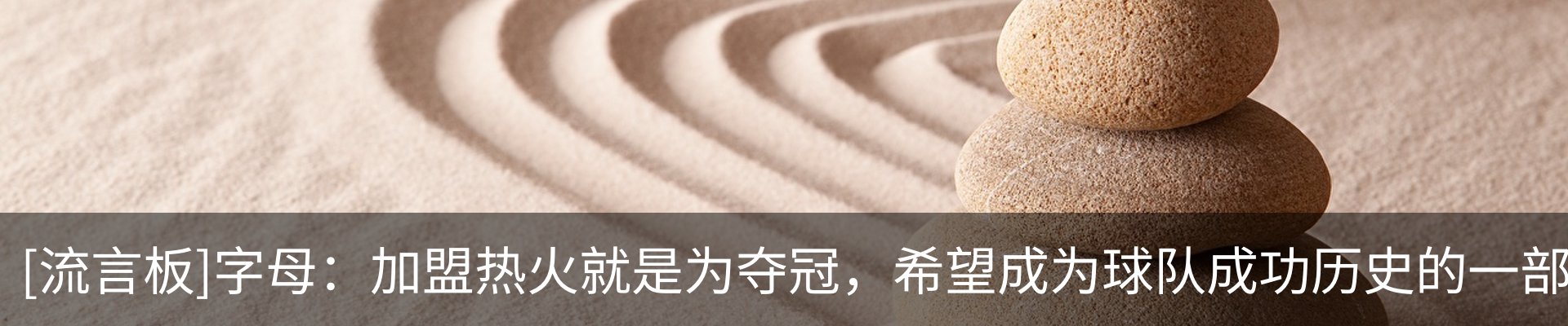 最新动态